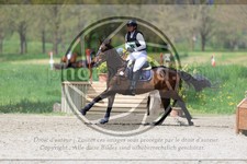 ref. photo 3576144
