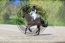 ref. photo 3576146