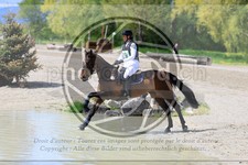 ref. photo 3576147