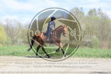 ref. photo 3576187