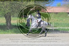 ref. photo 3576197