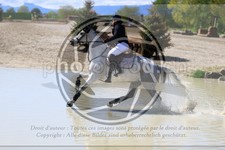 ref. photo 3576202