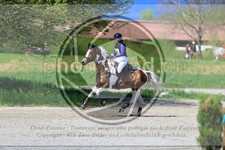 ref. photo 3576361