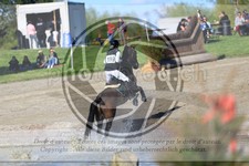 ref. photo 3576386