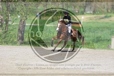 ref. photo 3576401