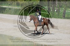 ref. photo 3576402