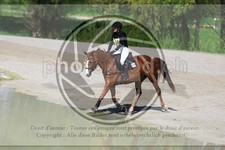 ref. photo 3576403