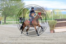 ref. photo 3576413