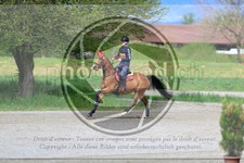 ref. photo 3576417