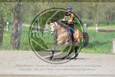 ref. photo 3576484
