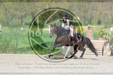 ref. photo 3576504