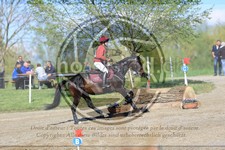 ref. photo 3576582
