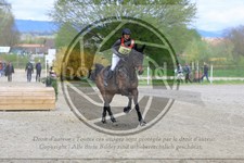 ref. photo 3576596