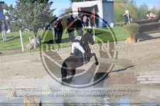 ref. photo 3576721