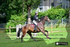 ref. photo 3274654
