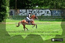 ref. photo 3274686