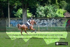 ref. photo 3274688
