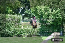 ref. photo 3274901