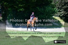 ref. photo 3274918