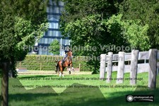 ref. photo 3274982