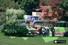ref. photo 3275028