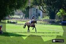 ref. photo 3275029