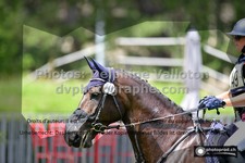 ref. photo 3275061