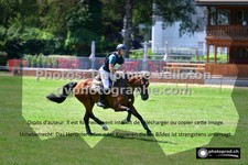 ref. photo 3275092