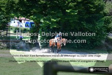 ref. photo 3275096