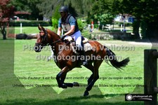 ref. photo 3275098