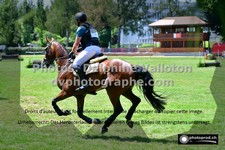 ref. photo 3275099
