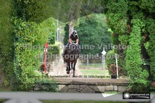 ref. photo 3275133