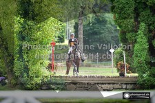 ref. photo 3275150