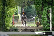ref. photo 3275151