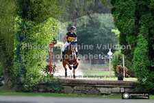 ref. photo 3275248