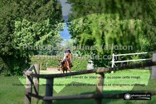 ref. photo 3275263