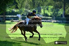 ref. photo 3275266