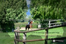 ref. photo 3275286