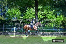 ref. photo 3275296