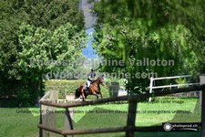 ref. photo 3275299