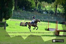 ref. photo 3275309