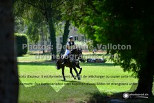ref. photo 3275375
