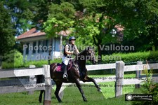ref. photo 3275445