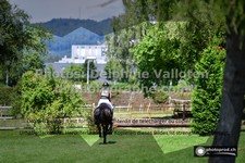ref. photo 3275450