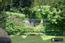 ref. photo 3275487