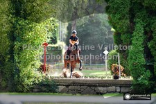 ref. photo 3275536