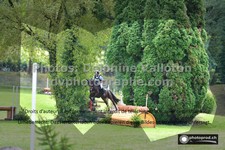 ref. photo 3275617