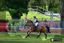ref. photo 3275668
