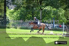 ref. photo 3275741