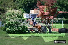 ref. photo 3275753